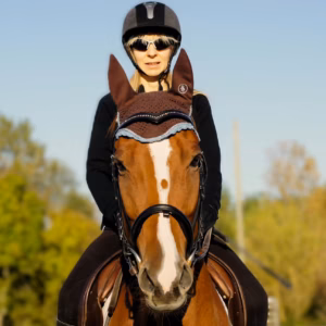 Lire la suite à propos de l’article Le pur-sang anglais : race de course et cheval d&rsquo;exception