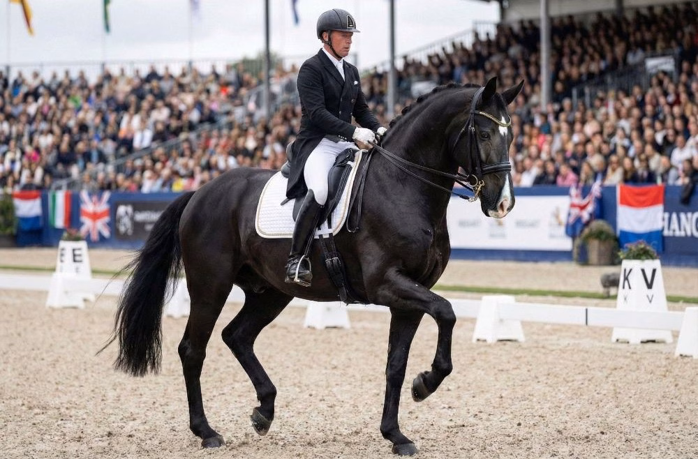 You are currently viewing Le piaffer : le sommet de l&rsquo;élégance