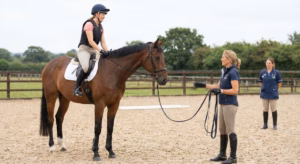 Lire la suite à propos de l’article Choisir un cheval en fonction de vos attentes