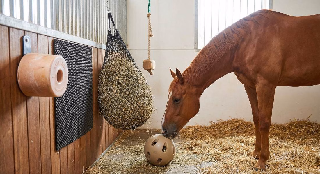 You are currently viewing Enrichissement au box pour le bien-être du cheval