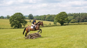 Lire la suite à propos de l’article Meilleur gilet airbag d&rsquo;équitation : bien choisir