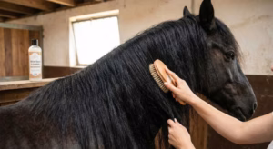 Lire la suite à propos de l’article Démêlant crinière cheval : avantages et conseils