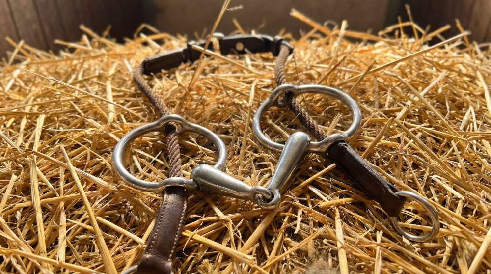 You are currently viewing Mors releveur : tout savoir pour l&rsquo;utiliser