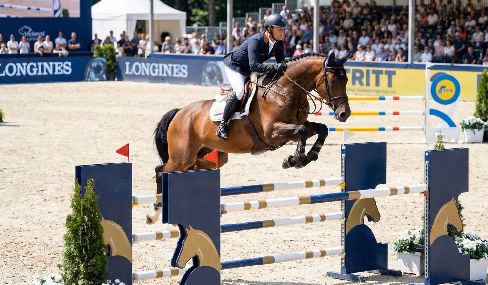 You are currently viewing Oldenbourg : un cheval d&rsquo;exception