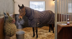 Lire la suite à propos de l’article Coup de froid : symptômes à ne pas ignorer