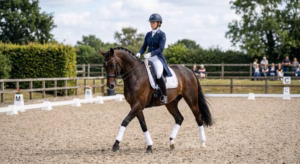 Lire la suite à propos de l’article Dressage à cheval : les bases à connaître