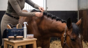 Lire la suite à propos de l’article Pionter : secrets d&rsquo;un grooming réussi