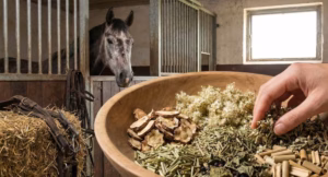 Lire la suite à propos de l’article Plantes et arthrose du cheval : les solutions