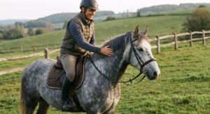 Lire la suite à propos de l’article Poney pour adulte : un compagnon idéal