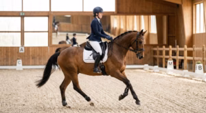 Lire la suite à propos de l’article Changement de pied au galop : secrets et techniques