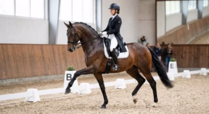 Lire la suite à propos de l’article Passage : comment l&rsquo;apprendre ?