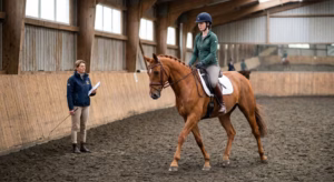Lire la suite à propos de l’article 15 astuces pour progresser rapidement à cheval