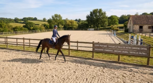 Lire la suite à propos de l’article Taille de la carrière et bien-être du cheval