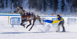 Lire la suite à propos de l’article Le skijoering : quand le cheval rencontre la neige