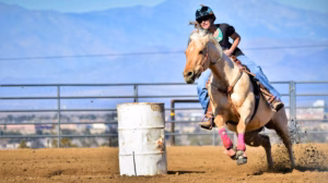 Lire la suite à propos de l’article Le barrel racing : vitesse et agilité western