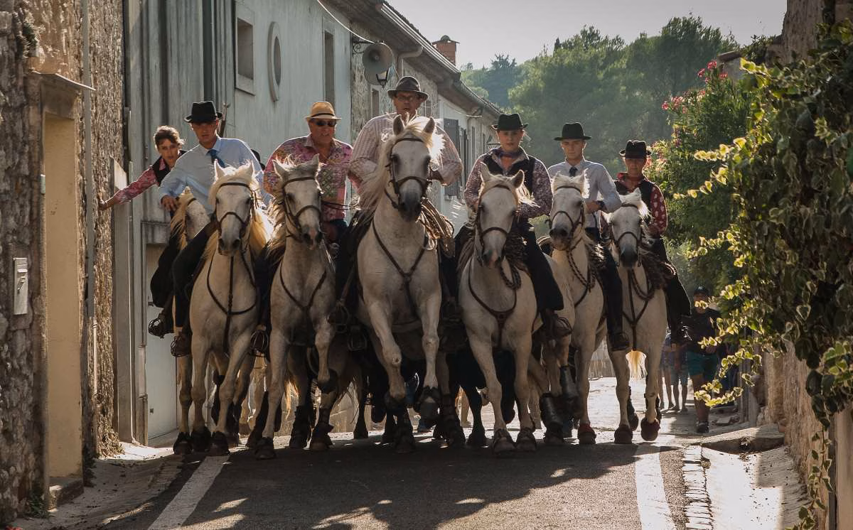 You are currently viewing Les traditions équestres de Camargue : gardians, chevaux et manades