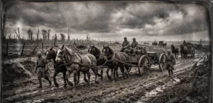 Lire la suite à propos de l’article Le cheval dans la Première Guerre mondiale : rôle, souffrance et héritage de la cavalerie 14-18