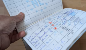 Lire la suite à propos de l’article Le carnet de vaccination du cheval : tout savoir pour être en règle