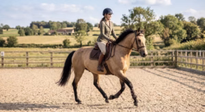 Lire la suite à propos de l’article Cheval isabelle : génétique et particularités de la robe